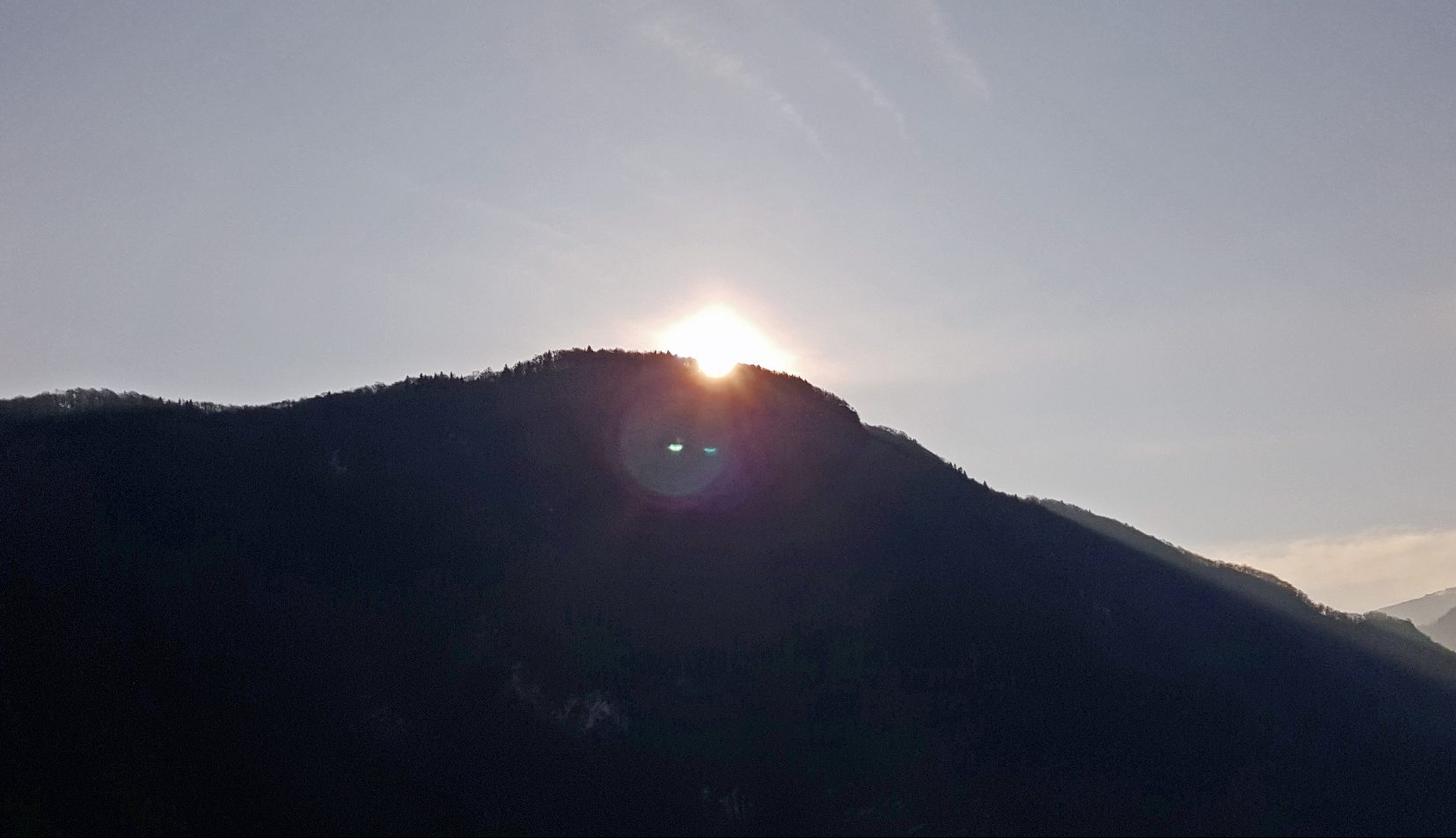 Alba